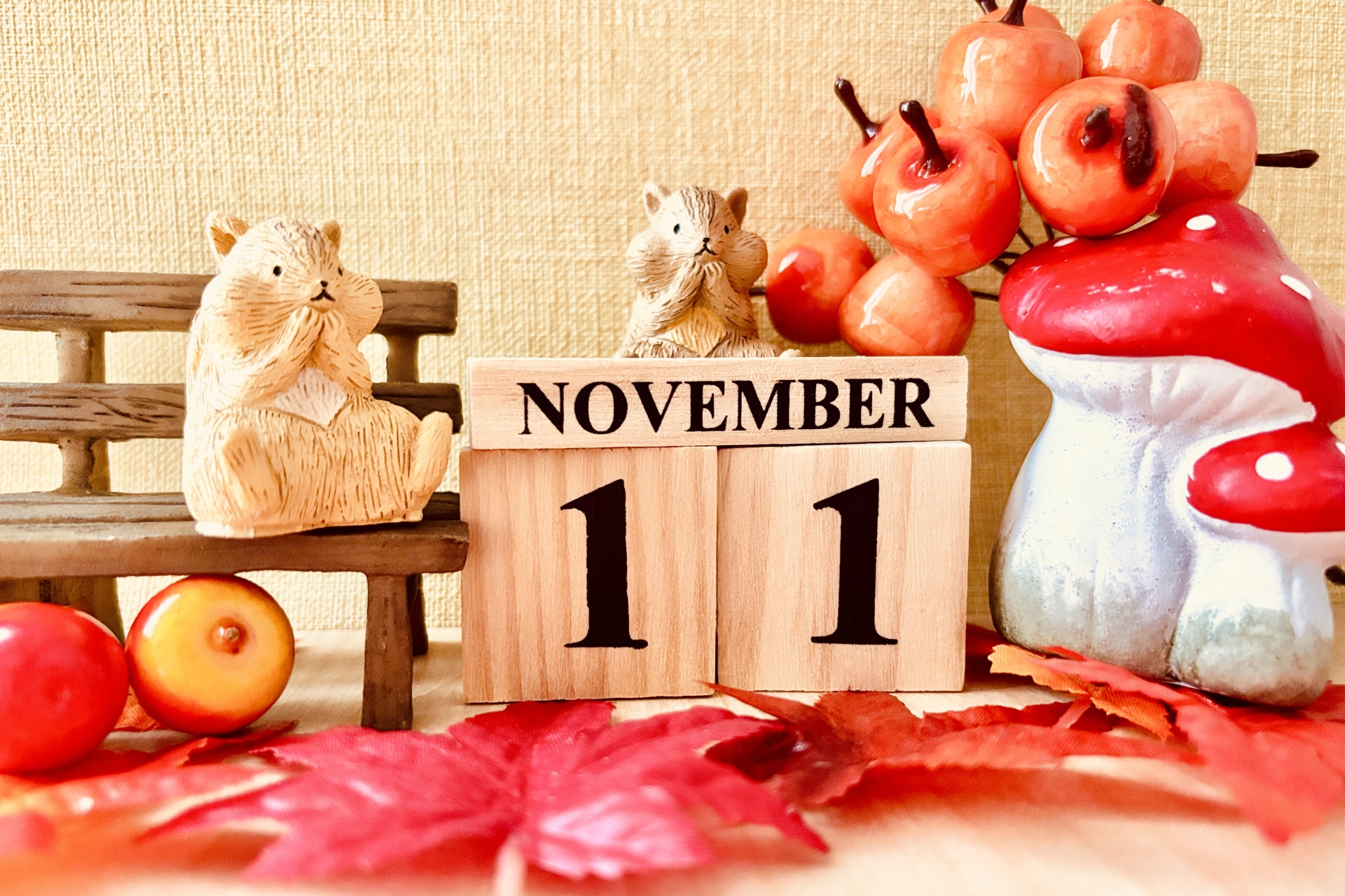 11月24日(祝)開催!パール歯科医院イベントのお知らせ 11月24日(祝)開催!パール歯科医院イベントのお知らせのメインビュー