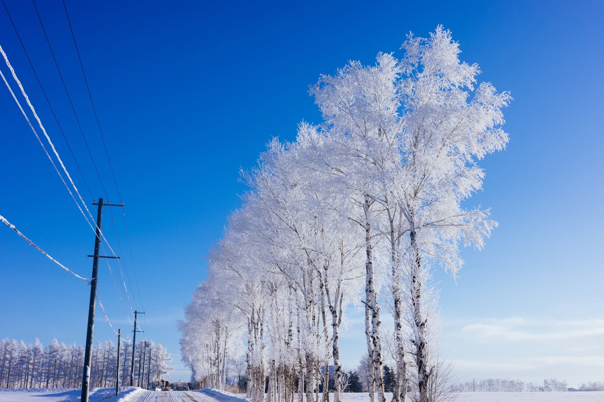 年末年始の休診につきまして 年末年始の休診につきましてのメインビュー