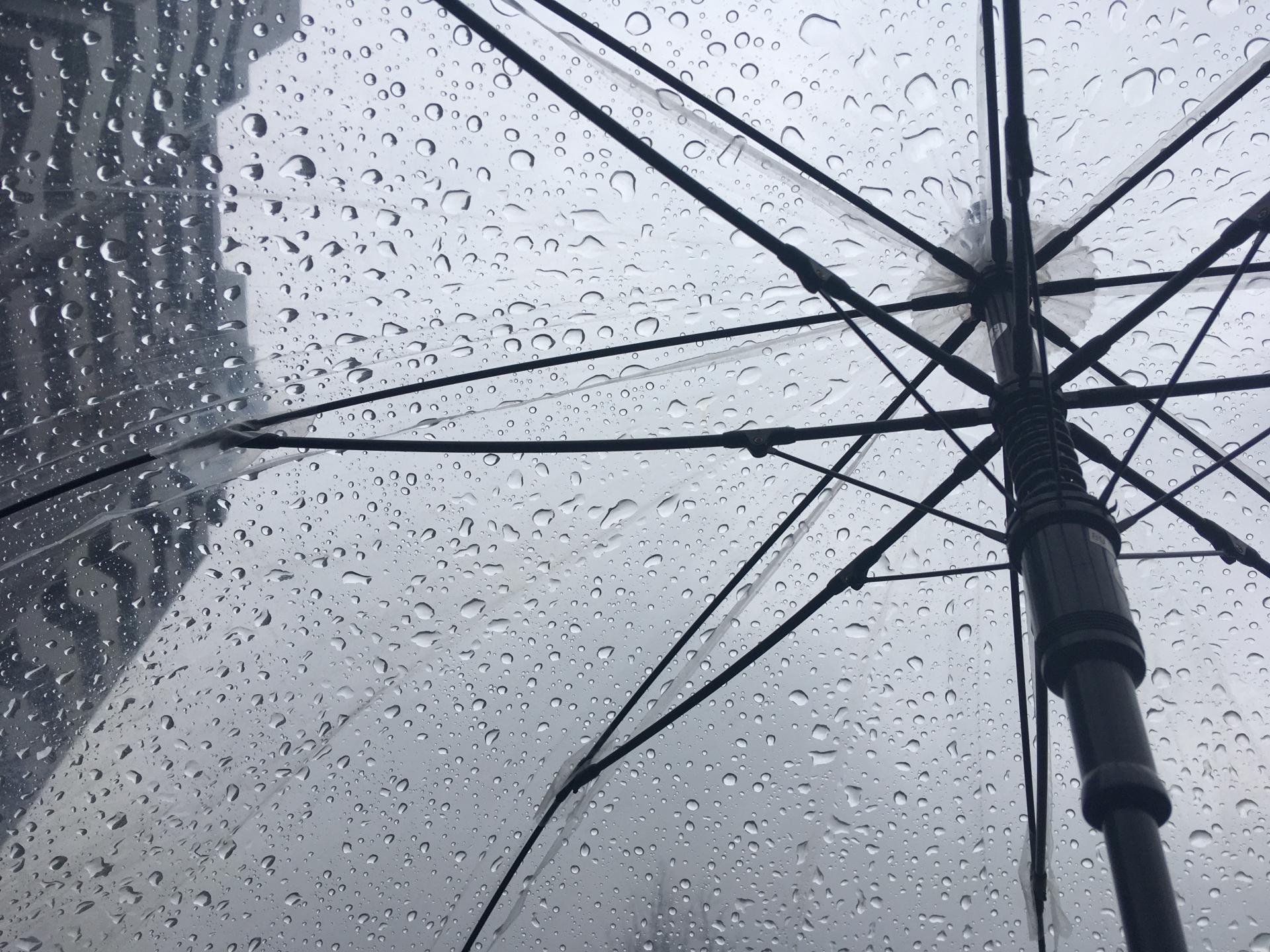◆台風接近に伴う6月3日(水)の診療について ◆台風接近に伴う6月3日(水)の診療についてのメインビュー